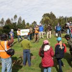 Arborización Parque Metropolitano del Sur