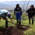 Arborización Parque Metropolitano del Sur