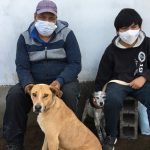 Urbanimal esteriliza animales de compañía