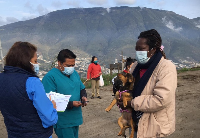 Urbanimal esteriliza animales de compañía