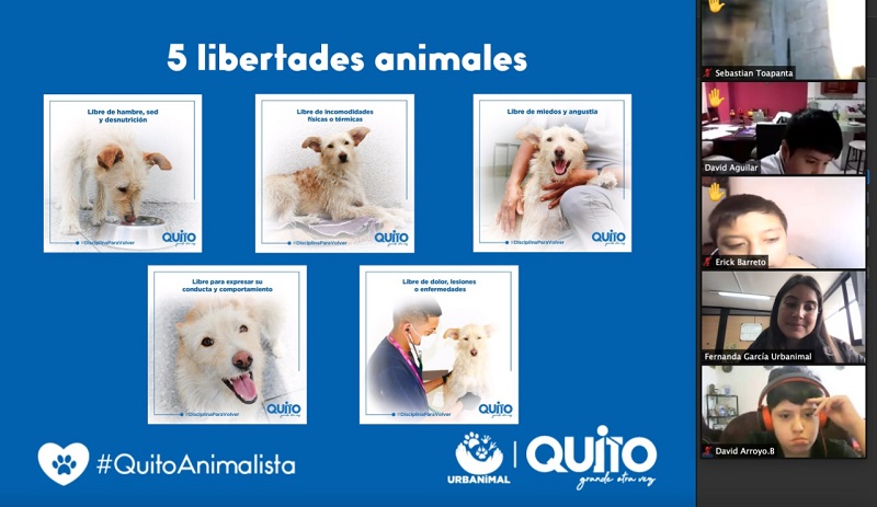 Educación bienestar animal