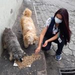Alimentación animales vulnerables
