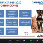 Capacitación fauna urbana estudiantes