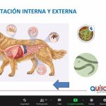 Capacitación fauna urbana estudiantes