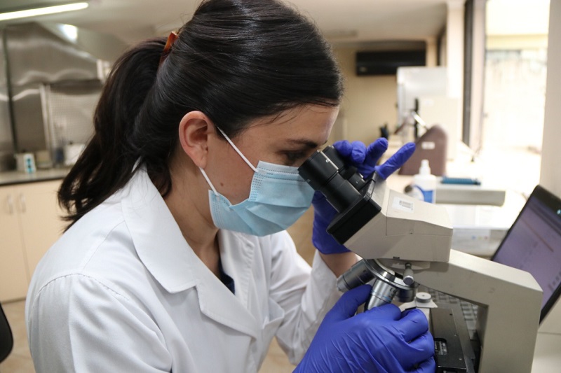 Muestras de alimentos procesadas en laboratorios
