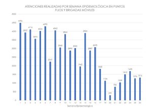 Un año brigadas sanitarias 