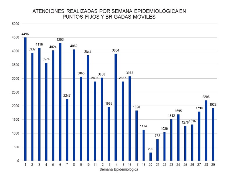 Un año trabajo brigadas sanitarias