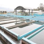 Toma pruebas agua ARCA