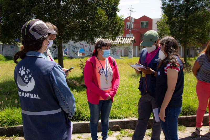 Muerte animales de compañía El Garrochal