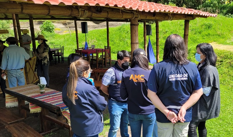 UBA operativos control taurino