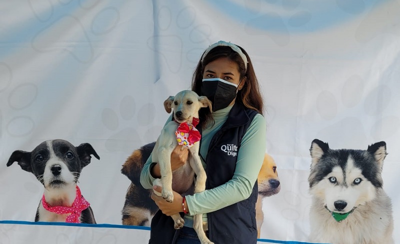 Adopción responsable tres centros UBA