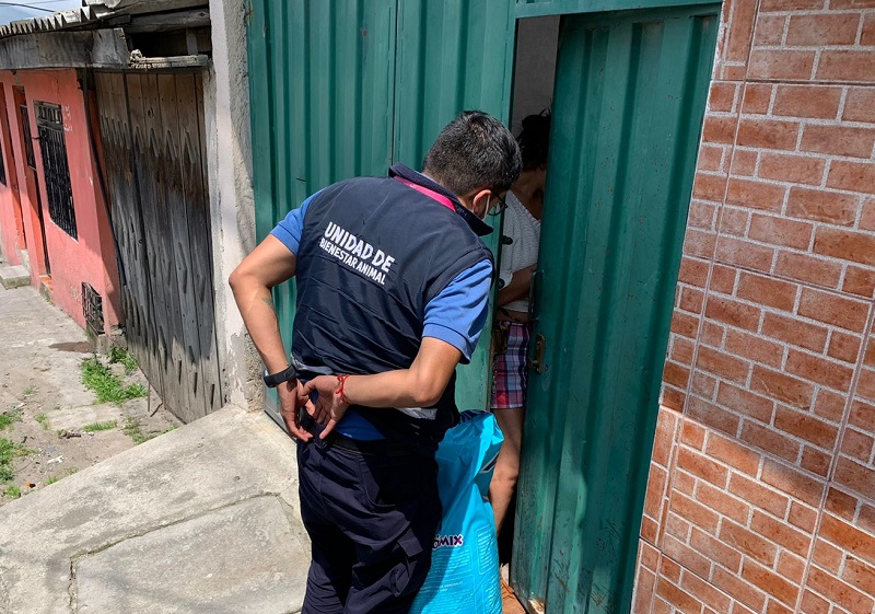 Infracción por afectación a la fauna urbana