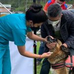 Esterilización y desparasitación DMQ