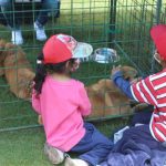 Adopciones La Armenia