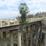 Somos Puente de Vida Gualo