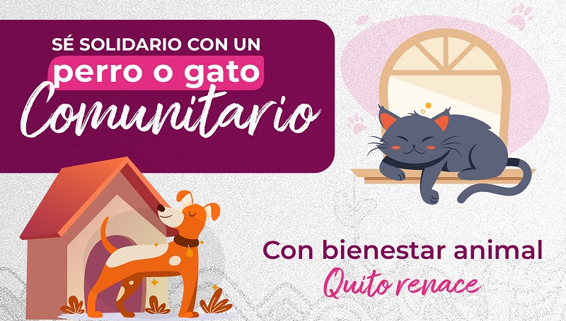Perros y gatos comunitarios