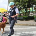 UBA Nanegalito