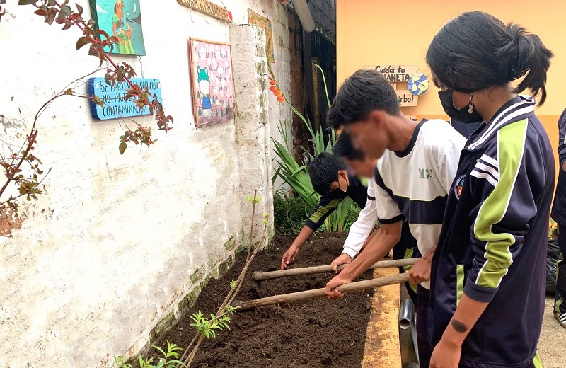 Unidades Educativas Municipales implementan huertos orgánicos