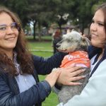 Brigada de adopciones 10 de junio