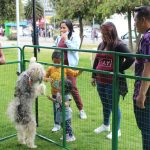 Brigada de adopciones 10 de junio