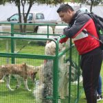 Brigada de adopciones 10 de junio