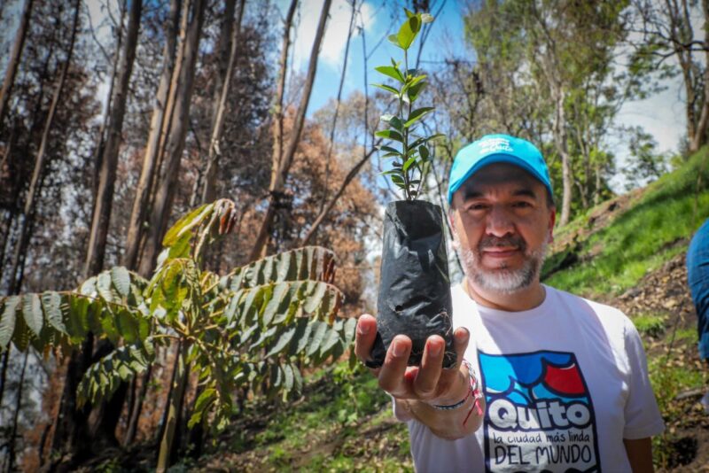 Una jornada de reforestación se vivió para hacer de ‘Quito, más verde que nunca’