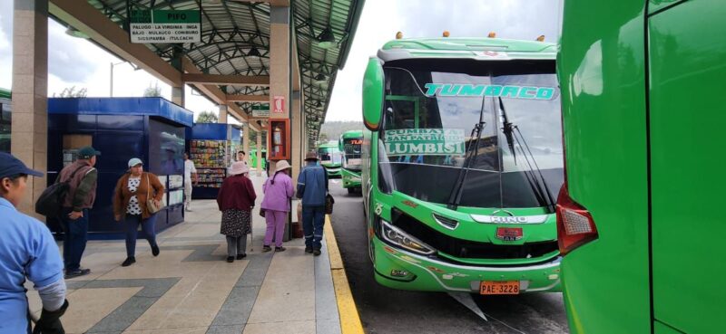 Vive el Carnaval en las parroquias del Distrito viajando desde las terminales microrregionales