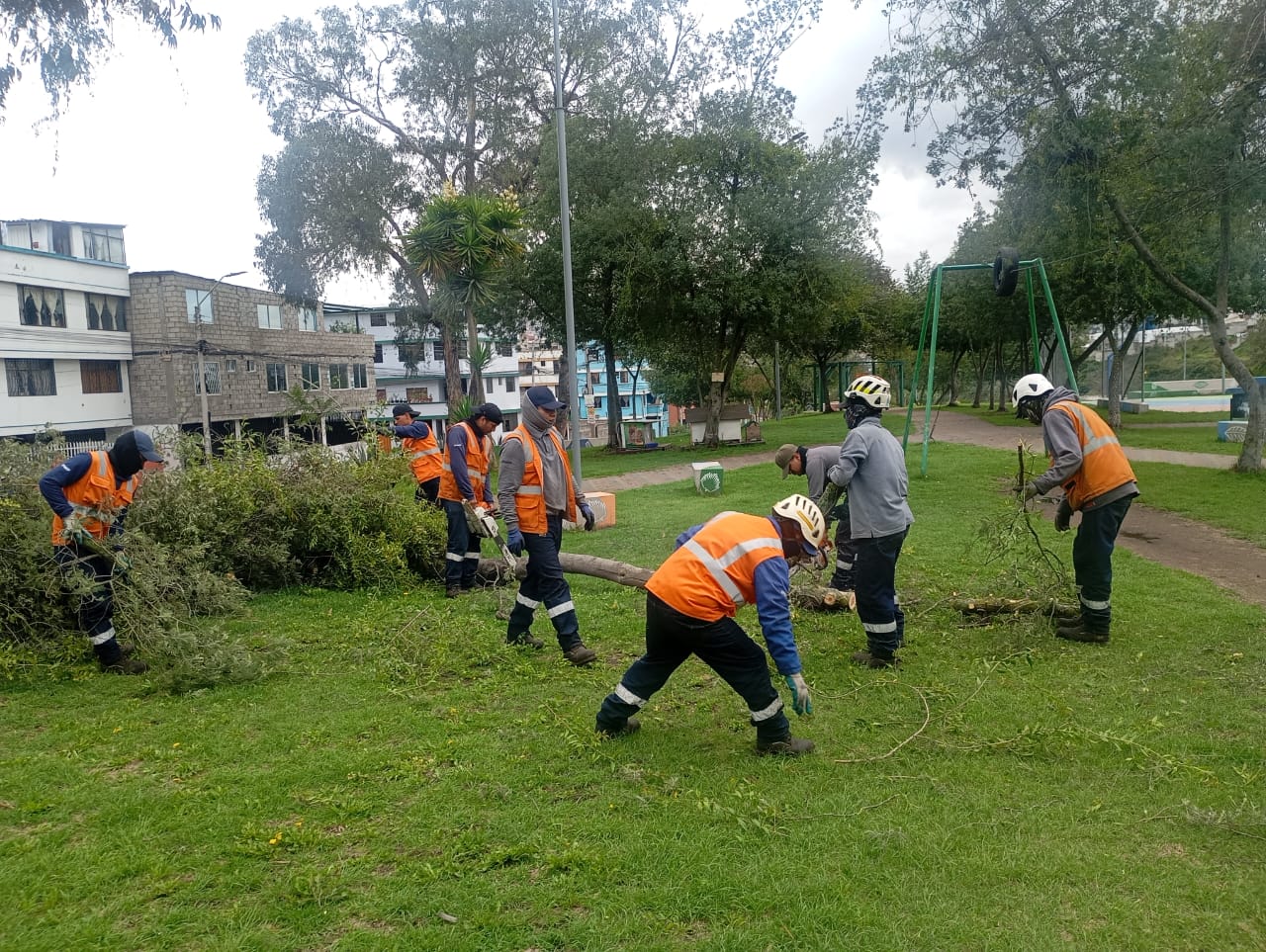Municipio se mantiene activo 247 para atender emergencias de arbolado urbano en espacios públicos