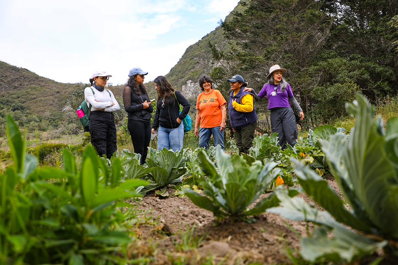 Municipio de Quito dinamiza la producción agrícola y el turismo comunitario en el Pululahua