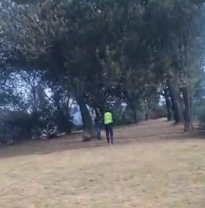 Agentes metropolitanos de tránsito de Quito identificaron a una persona que presuntamente intentaba quemar cables en una zona boscosa